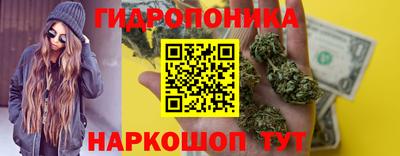 ПСИЛОЦИБИНОВЫЕ ГРИБЫ Вышний Волочёк