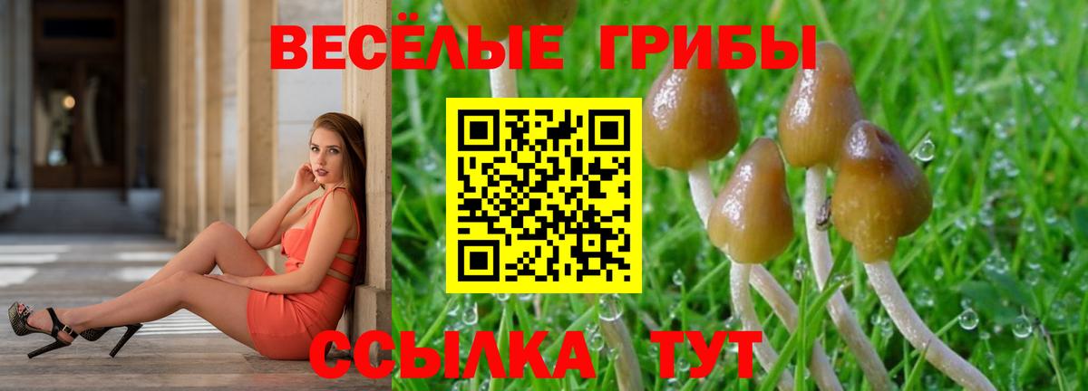 Галлюциногенные грибы MAGIC MUSHROOMS Ревда