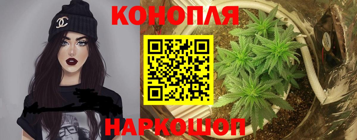 Конопля AK-47  Марихуана план  Ревда  Вход с VPN  Бошки марихуана гибрид  МАРИХУАНА марихуана 